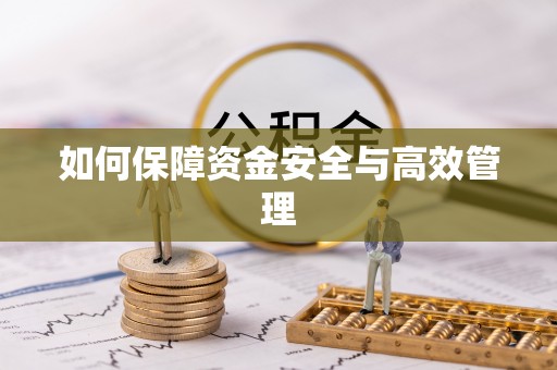 福安如何保障资金安全与高效管理