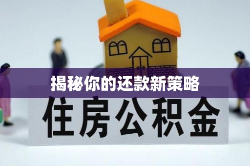 福安揭秘你的还款新策略