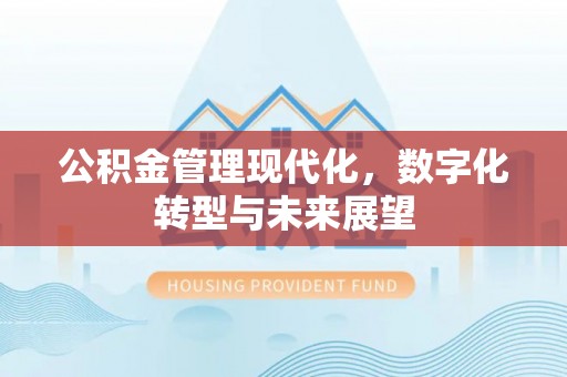 福安公积金管理现代化，数字化转型与未来展望