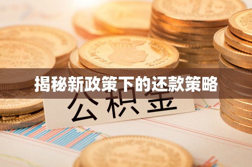 福安揭秘新政策下的还款策略