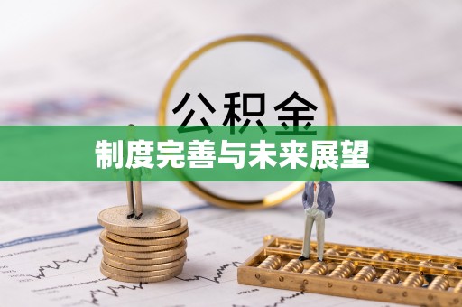 福安制度完善与未来展望