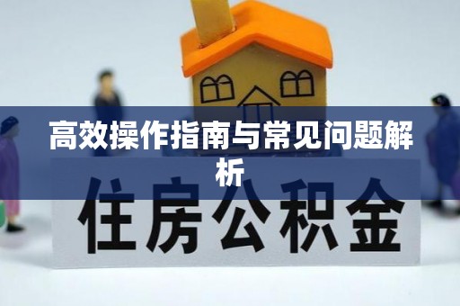 福安高效操作指南与常见问题解析