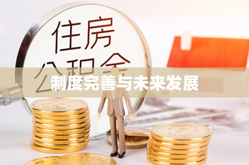福安制度完善与未来发展
