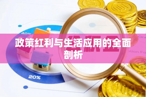 福安政策红利与生活应用的全面剖析