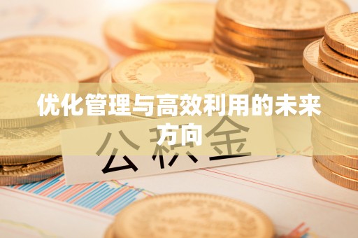 福安优化管理与高效利用的未来方向