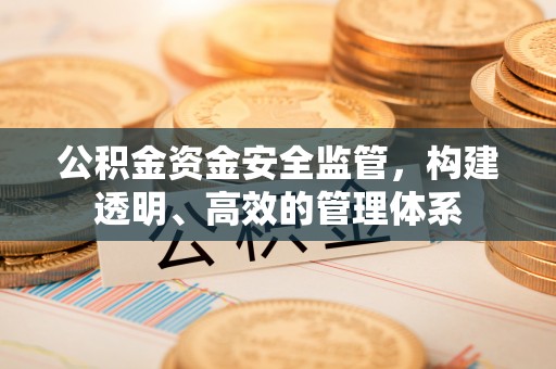 福安公积金资金安全监管，构建透明、高效的管理体系