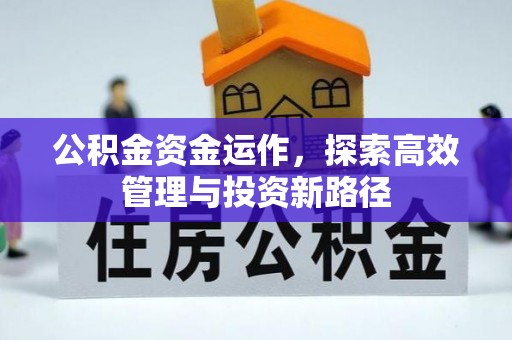 福安公积金资金运作，探索高效管理与投资新路径