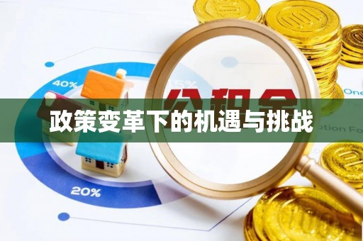 福安政策变革下的机遇与挑战