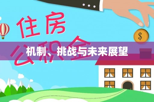 福安机制、挑战与未来展望